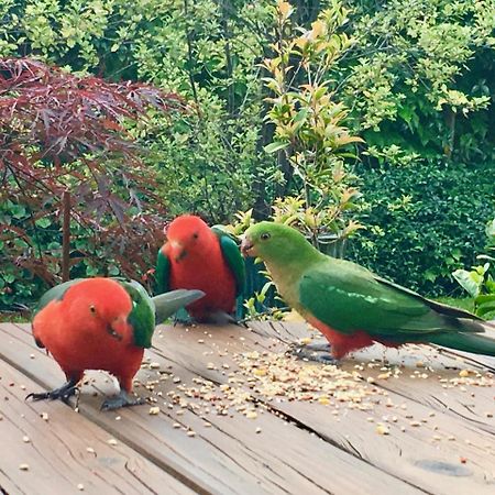 Crimson Villa Katoomba Eksteriør bilde