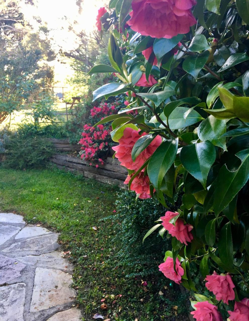 Crimson Villa Katoomba Eksteriør bilde